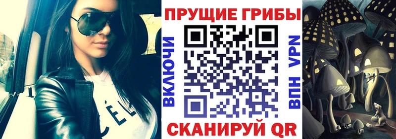 магазин продажи наркотиков  Березники  Псилоцибиновые грибы Psilocybine cubensis 